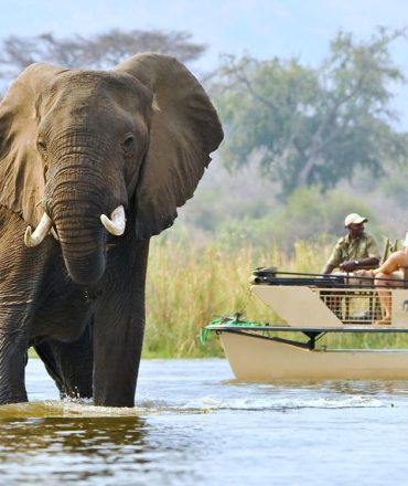 Lower-Zambezi Lower-Zambezi