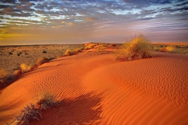 f8897cbf357b6b975432113ca154f494–south-australia-western-australia f8897cbf357b6b975432113ca154f494--south-australia-western-australia