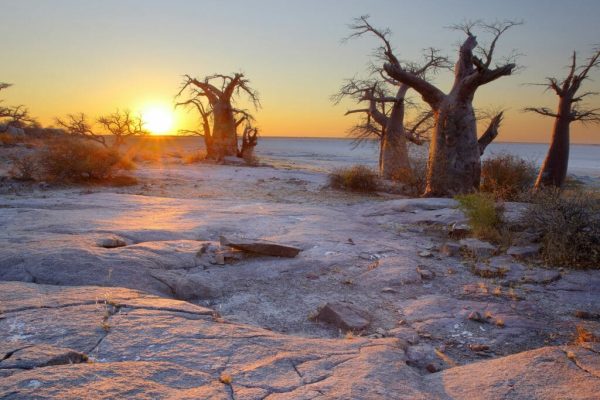 kubu-island-makgadikgadi-pans-botswana-1024×768 kubu-island-makgadikgadi-pans-botswana-1024x768